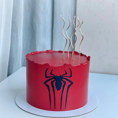 "Паук" купить - шахты.сладкоежкин.рф