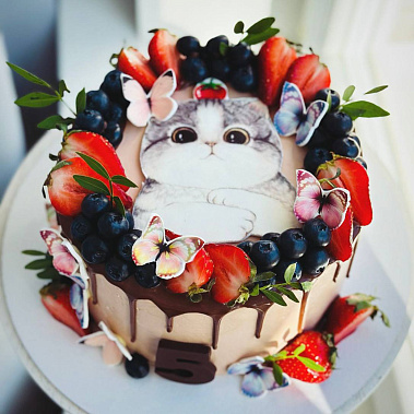 Торт "Котенок" купить - шахты.сладкоежкин.рф